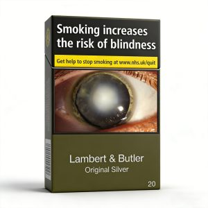 Lambert & Butler Original Silver x 10 Packs /1 Carton